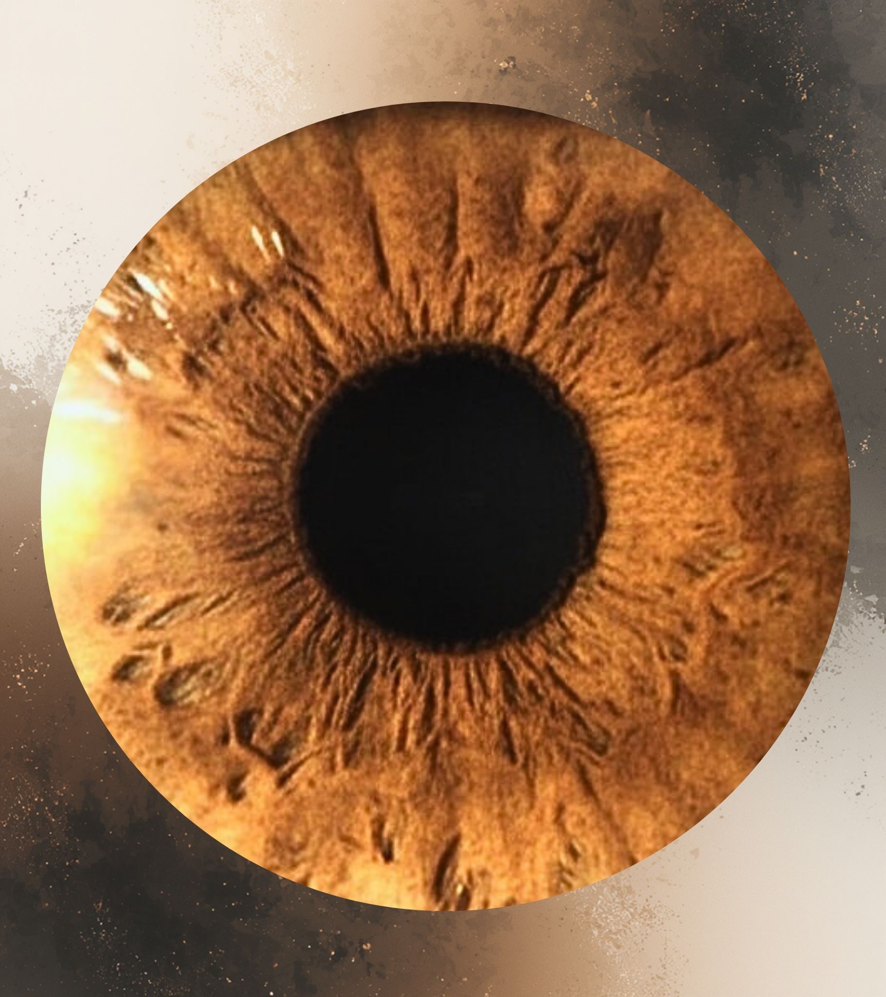 Augenlinse von Optik Müller in Blaufelden 